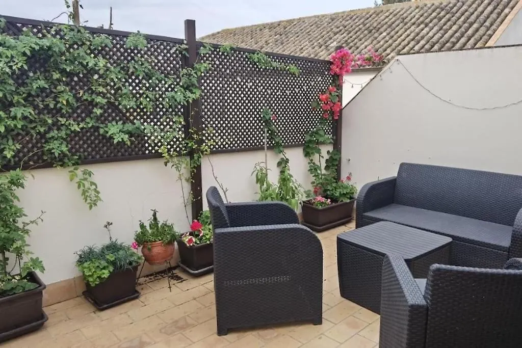 Atico Duplex Con Garajes kontakt